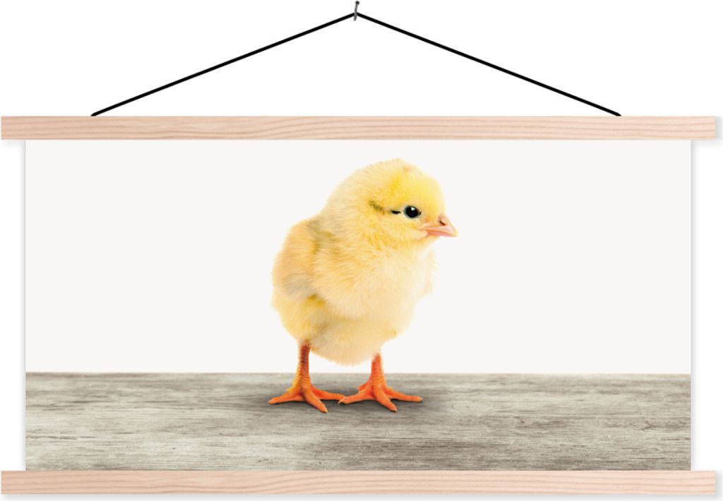 MuchoWow Textilposter Küken - Tiere - Jungen - Mädchen - Kinder 120x60 cm mit holzfarbenen Rahmen - Klemmleiste