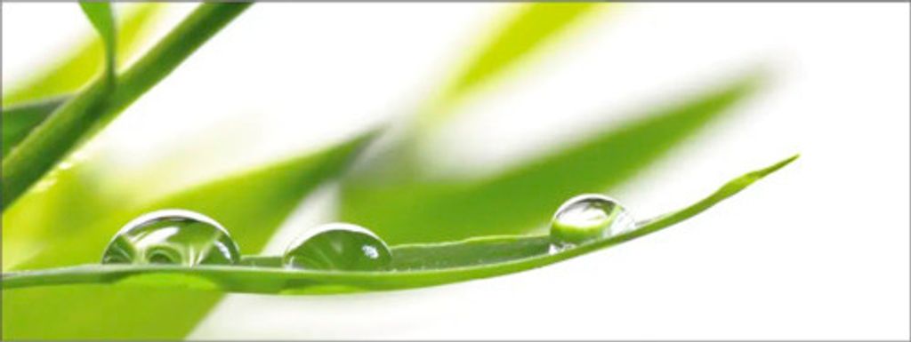 Küchenrückwand mySpotti Profix Dew Drop 160 x 60 cm PX-16060-53-HB