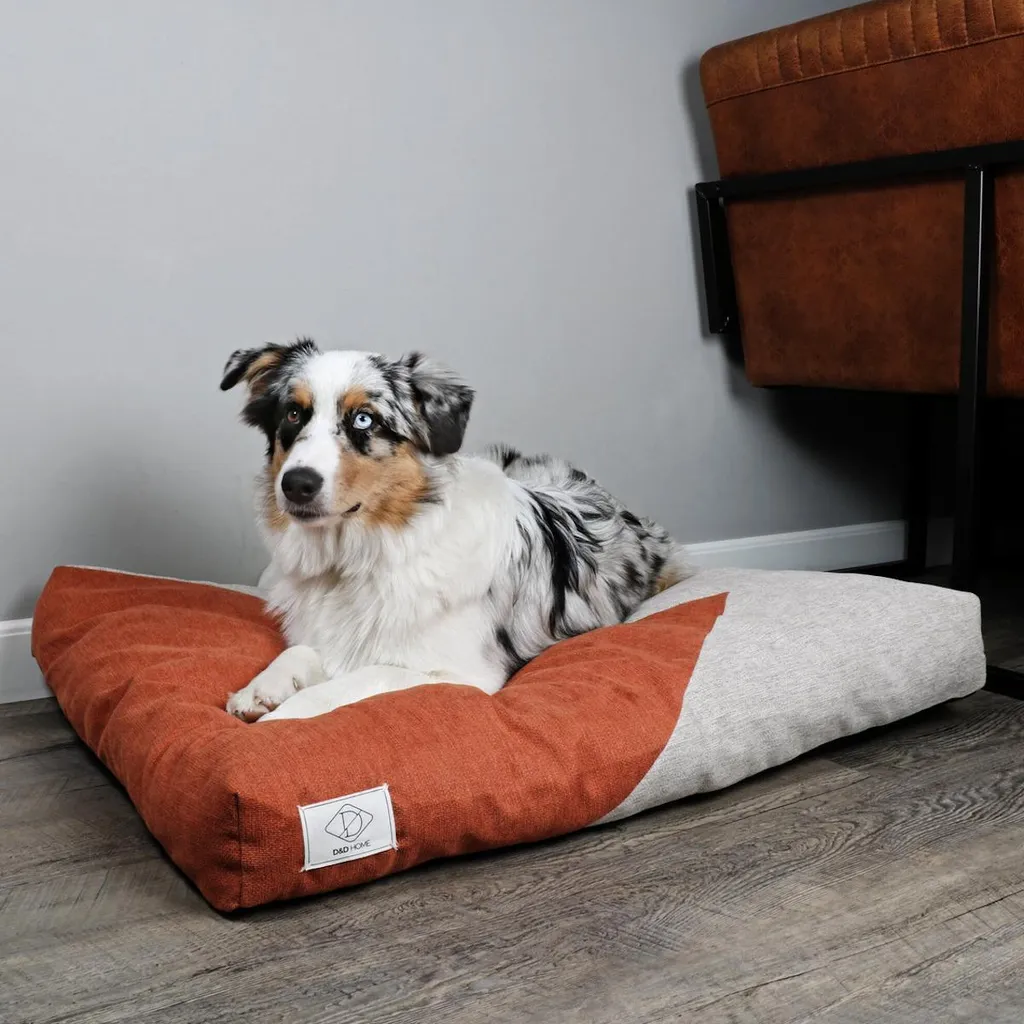 Panier pour chien format M coloris beige et orange - Modèle D&D Maddy - 2