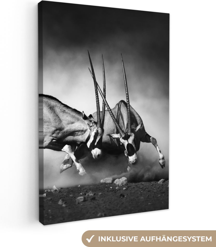 MuchoWow - Leinwandbilder - Antilope - Schwarz und weiß - Porträt - Wildtiere - Tiere, Wandbild, Wanddeko Bilder Wohnzimmer, 20x30 cm