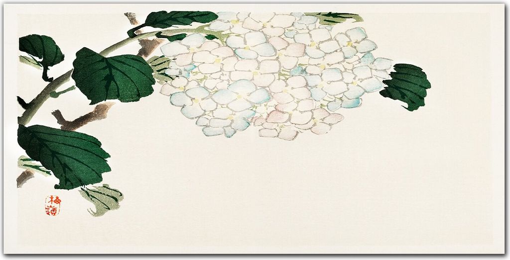 Coloray Küchenrückwand 140x70 Spritzschutz aus Glas - Blätter Zweige