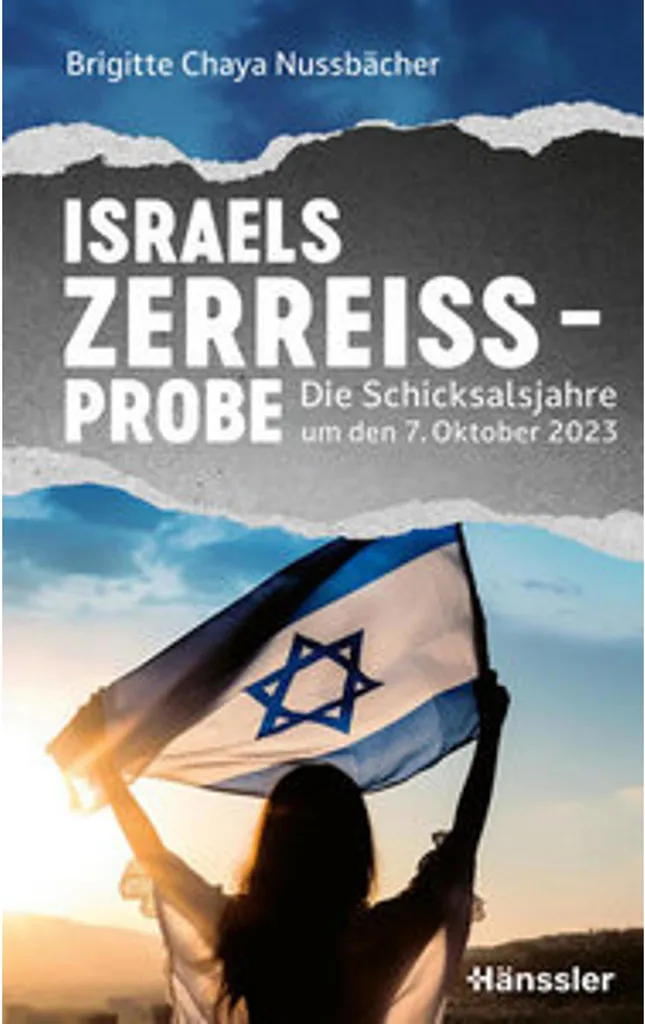 Israels Zerreißprobe : comprendre Israël pour vos études géopolitiques