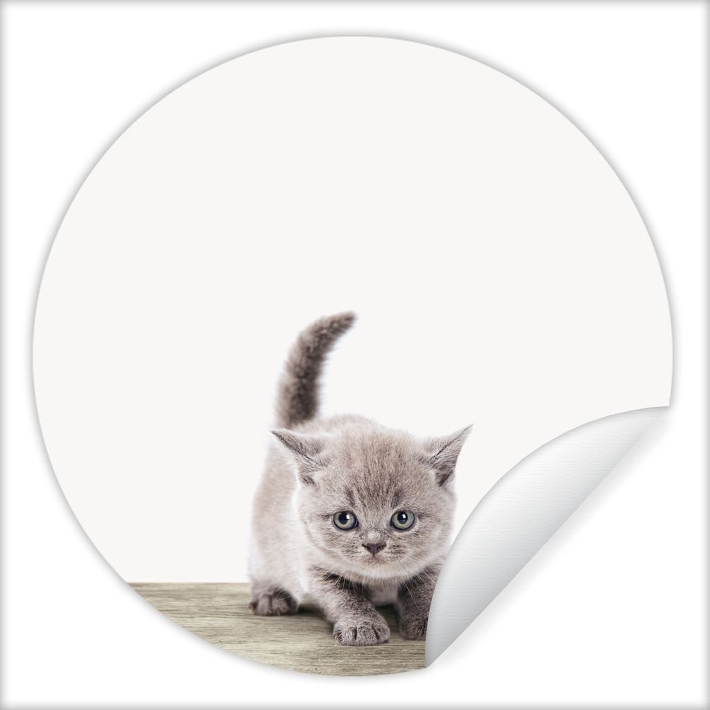 MuchoWow Runde Wandtattoo - Wandsticker Tapete Aufkleber Kätzchen - Katze - Haustiere - Jungen - Kinder - Mädchen Ø 100 cm Selbstklebend und R...