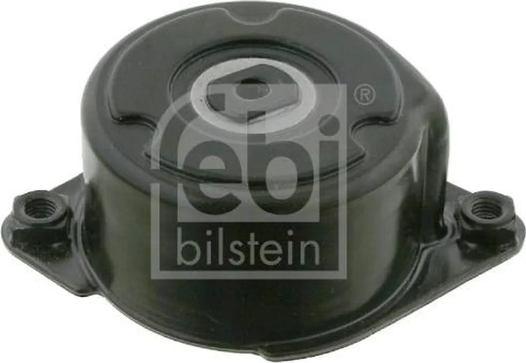 Stop aux bruits de courroie avec le tendeur Febi Bilstein pour BMW et X5