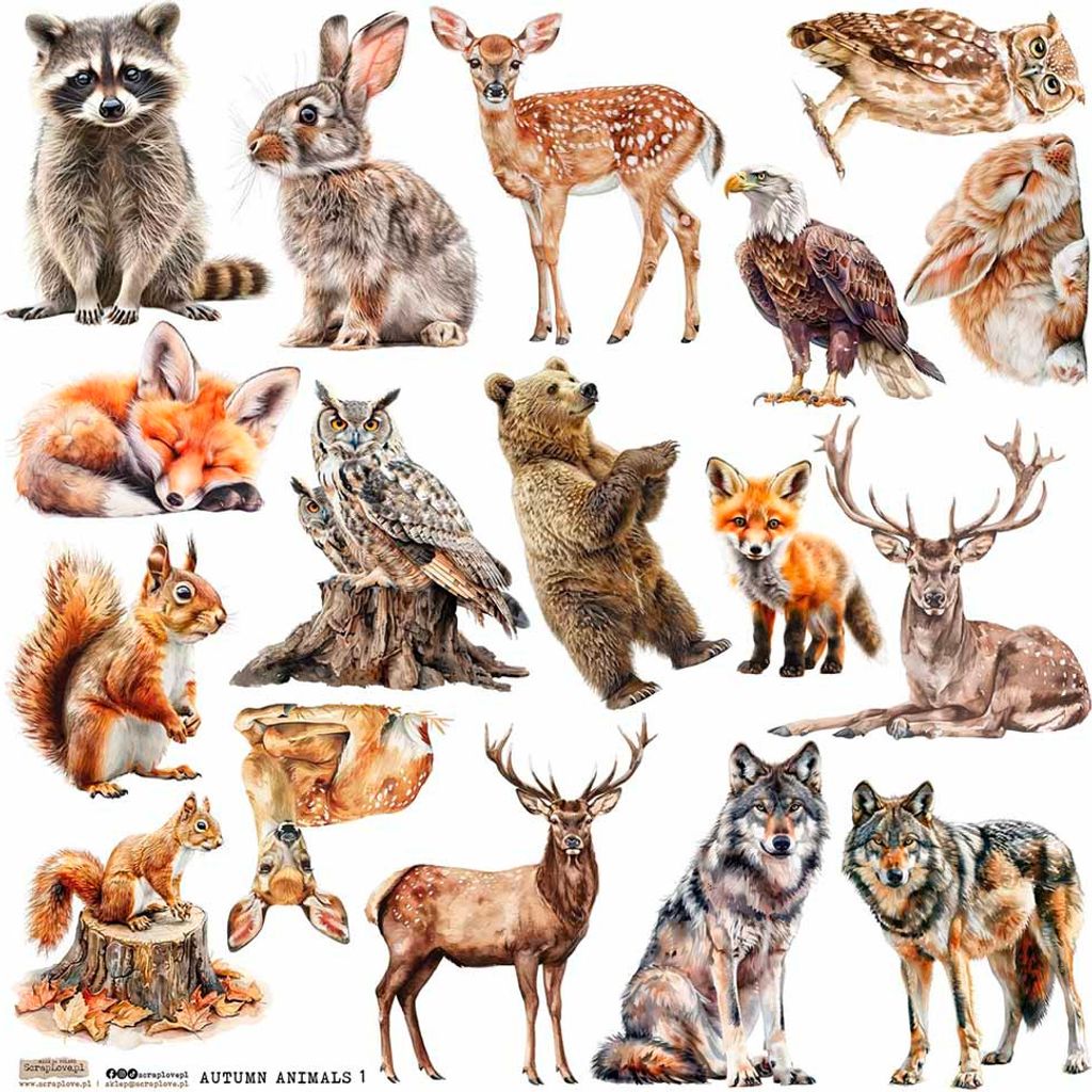 AUFKLEBER - ScrapLove - Autumn Animals 1