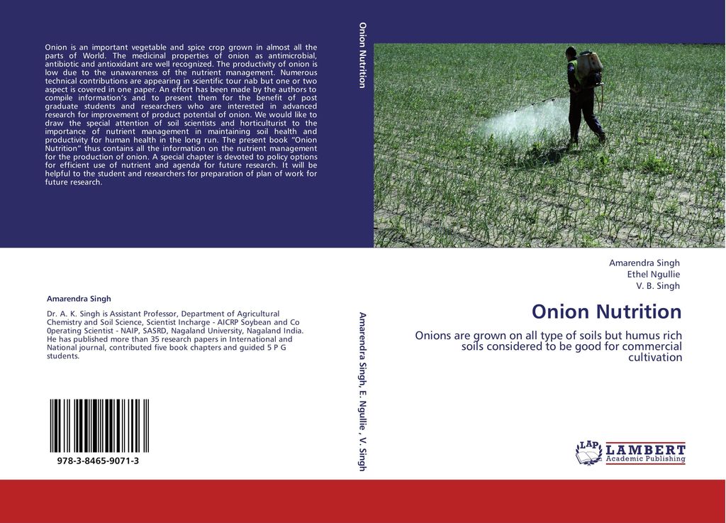 Onion Nutrition