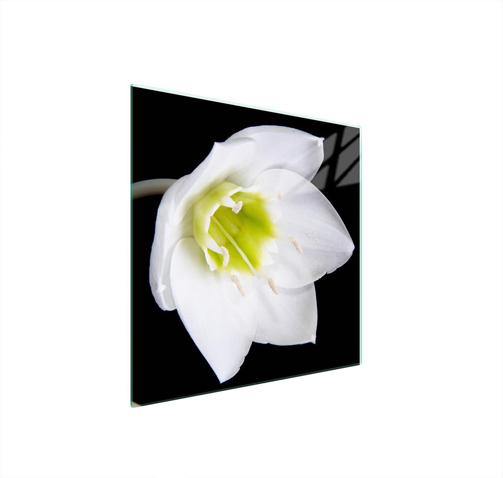 Glasschutzplatte Für Herd 50X52 Orchidee