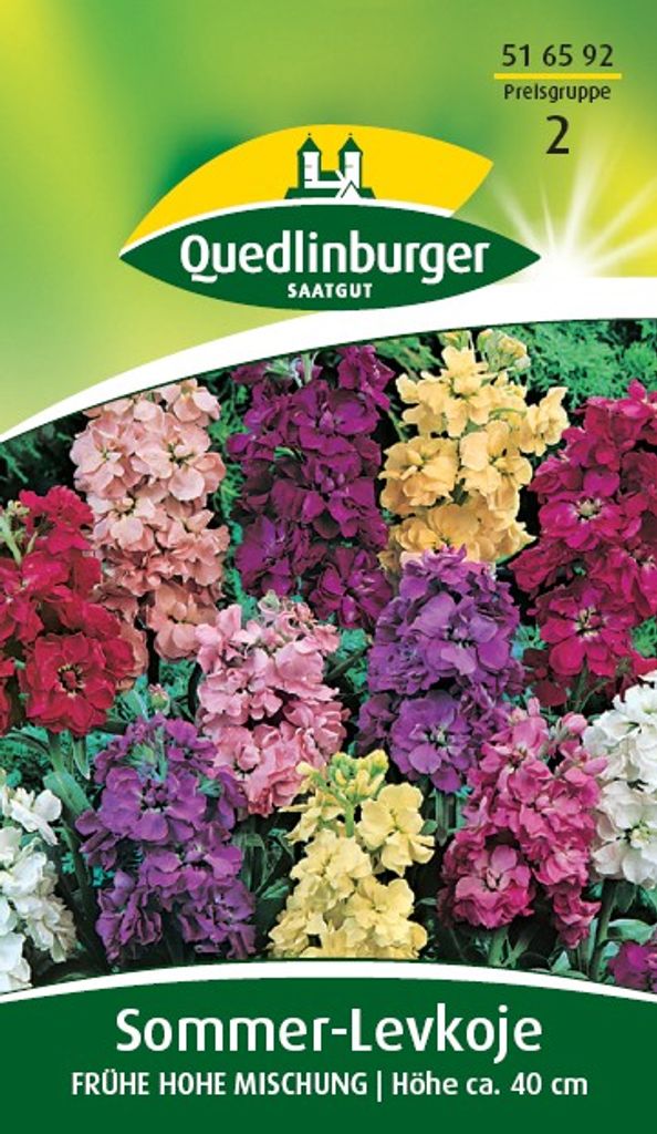 Quedlinburger Saatgut - Sommer-Levkojen Frühe hohe Mischung Produktbild 