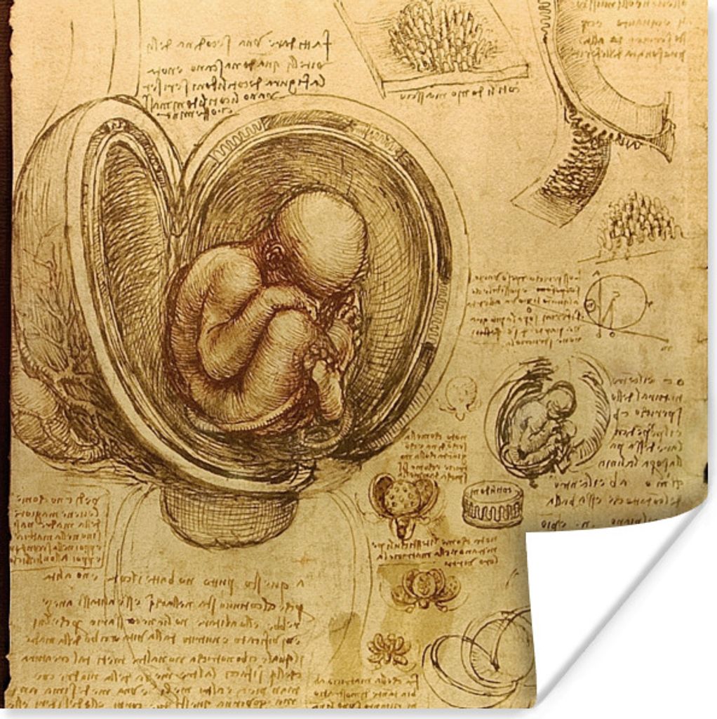 MuchoWow Poster Baby im Mutterleib - Leonardo da Vinci 100x100 cm - Babyzimmer