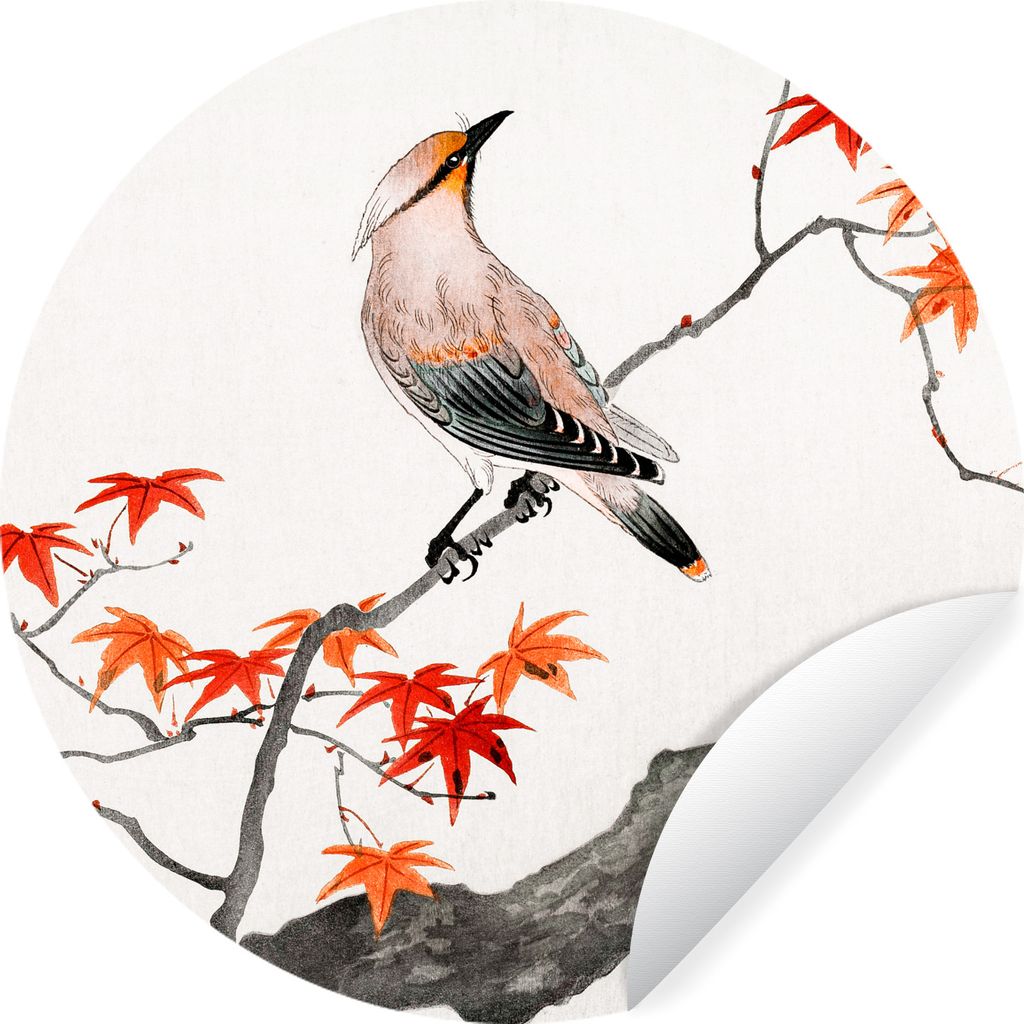 MuchoWow Runde Wandtattoo - Wandsticker Tapete Aufkleber Vintage - Vogel - Baum - Japanischer Ahorn Ø 50 cm Selbstklebend und Repositionierbar -...