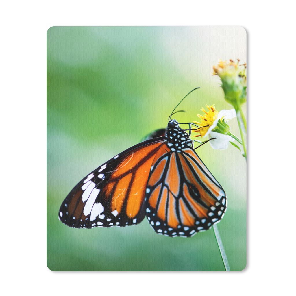 MuchoWow Mauspad Mousepad Schmetterling - Blumen - Insekten 19x23 cm - Mousepads - Maus Mat - Pad - Mausunterlage - Mauspads - Spielen
