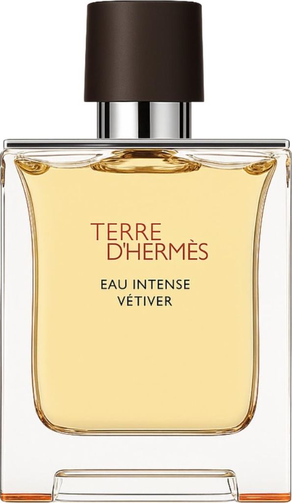 Hermes Terre d'Hermès Eau Intense Vetiver, Männer, 100 ml, Produktbild 