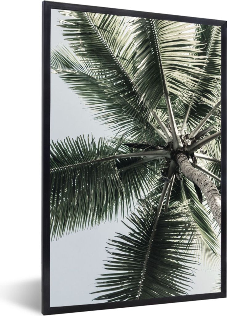 MuchoWow Gerahmtes Poster Palme - Tropisch - Sommer 40x60 cm - Poster mit Schwarzem Bilderrahmen Wandposter Rahmen Foto Bilder - Papierdruck - Wa...