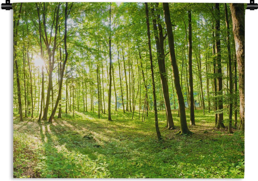 MuchoWow Wandteppich Wandbehang Natur - Bäume - Wald - Grün - Sonnenlicht 90x67.5 cm Tapisserie Dekoration Wandtuch - Fototeppich - Wand-Skulpt...