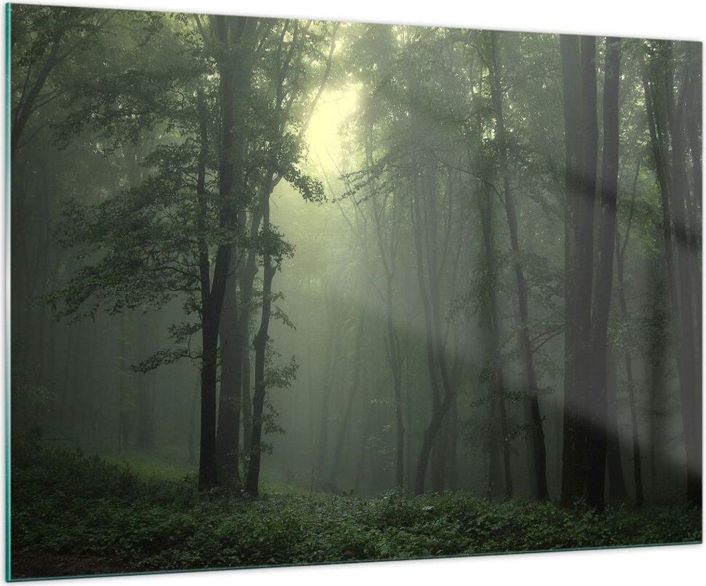 Bilder auf glas - Wald Nebel Baum - 100x70cm - Glasbilder - Wandbilder - Kunstdruck - zum Aufhängen bereit - Wanddekoration aus Glas - Glas Bilder...
