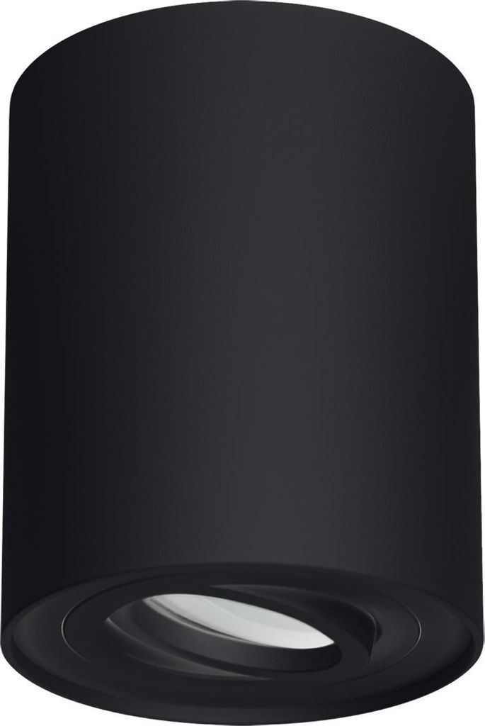 Strühm 03713 Deckenleuchte 'HARY C GU10 BLACK' LED, dimmbar, austauschbare Lichtquelle, schwenkbar, IP20