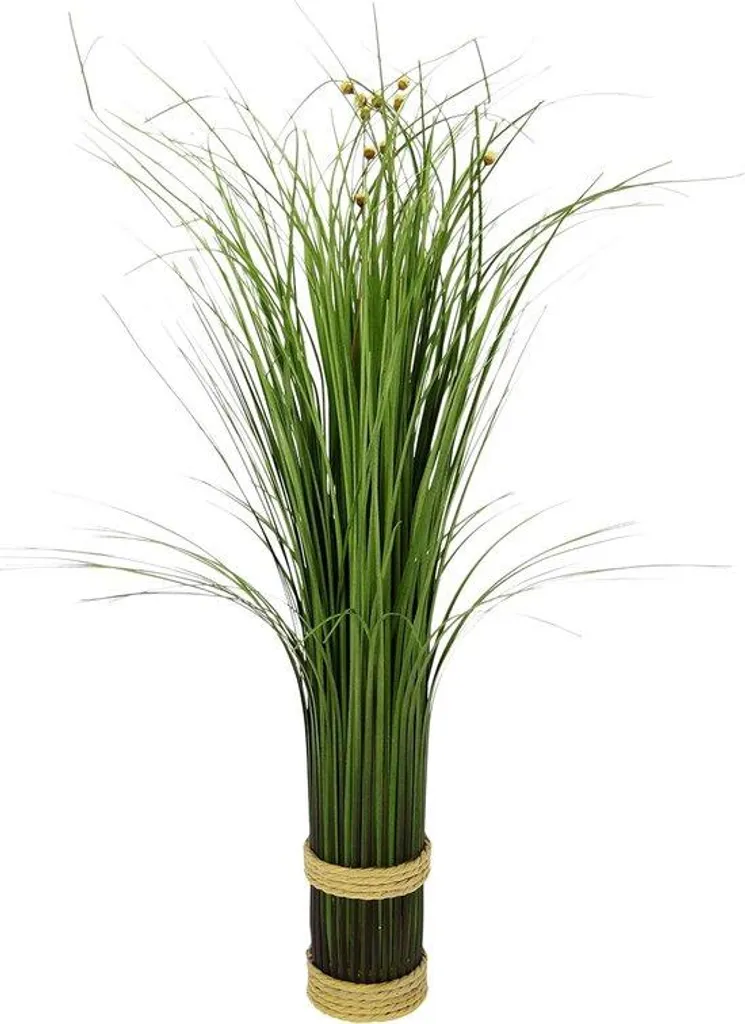 Herbe à fleurs blanches pour décorer un balcon ou aménager un jardin zen