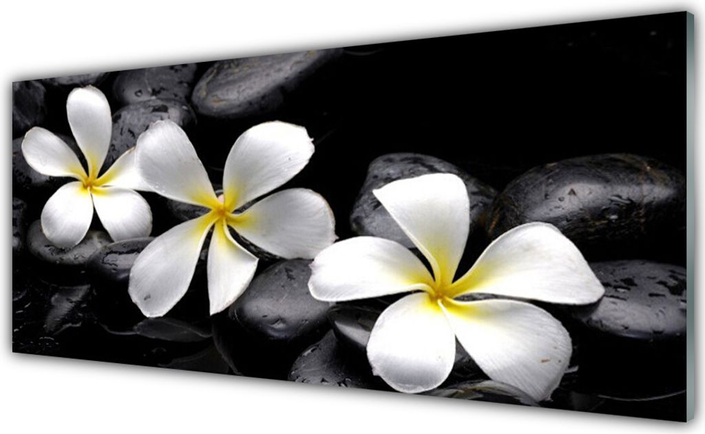 Küchenrückwand aus Glas 125x50cm Spritzschutz Blumen Steine Pflanzen