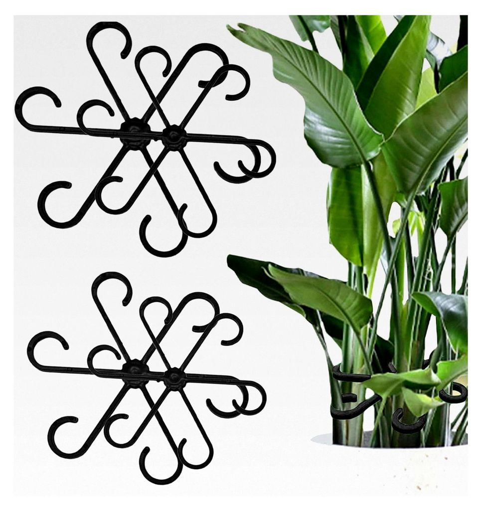 Rebenhalter – Set mit 4 Zweigen für Pflanzenstangen und Halterungen | Alocasia Monstera Blatthalter, Rankhilfe für Kletterpflanzen