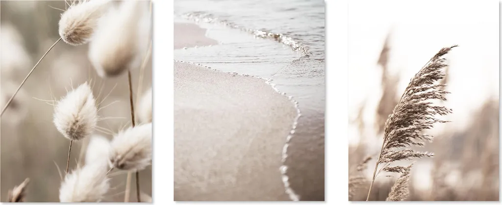 Poster 50x70 LUMASOUL Set 3 Natura Fiori Selvatici Stampe Moderne