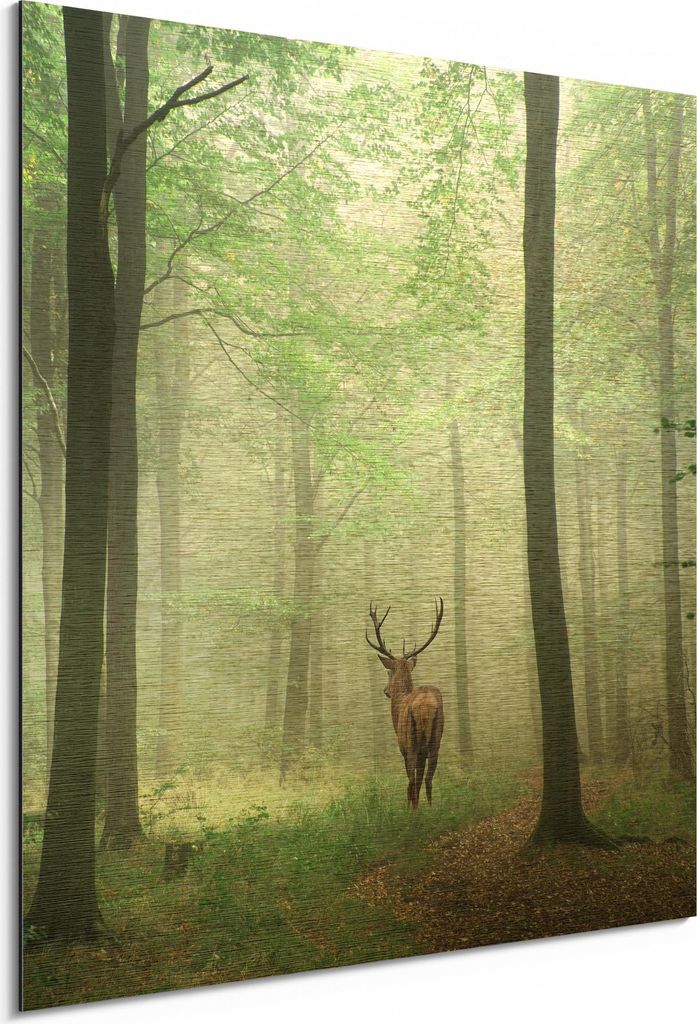 DEQORI Alu-Dibond Bild Gold 50x50 cm 'Hirsch zwischen Bäumen' Wandbild Metall dünn Design