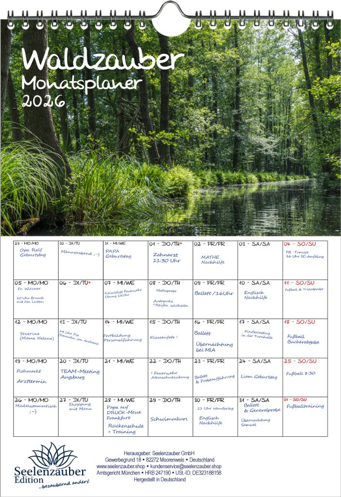 Waldzauber Planer DIN A4 Kalender für 2026 Baum Bäume Wald Natur - Seelenzauber