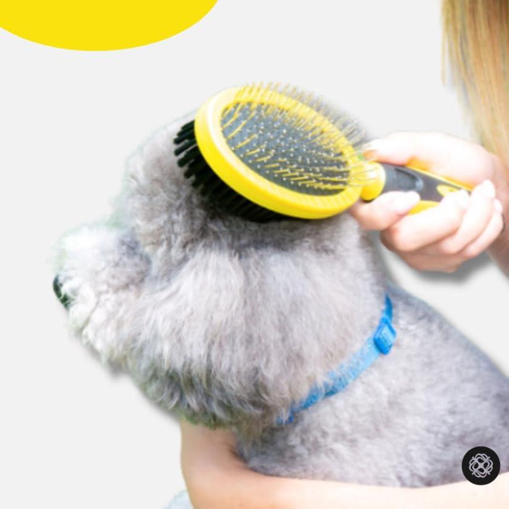 Hundenborstel Comfort-Bürste für professionelle Massage und Reinigung - metallene und gummierte Borsten - rutschfester Griff - lange und kurze Ha...