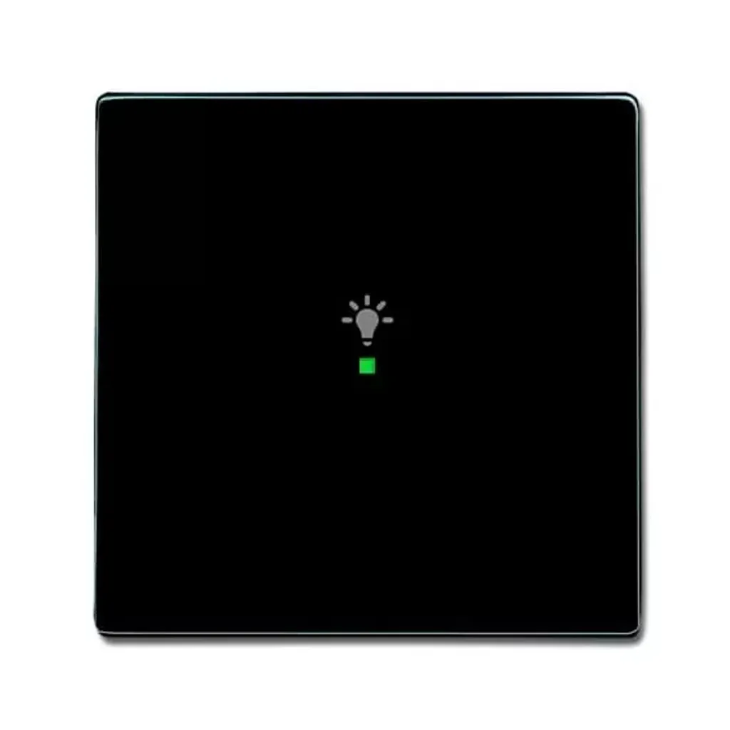 Commande Busch-Jaeger 6231-10-81 Anthracite avec Marquage Lumière Gravé - 2