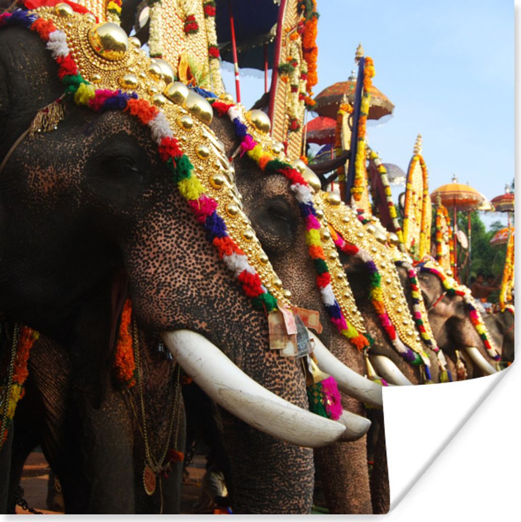 MuchoWow Poster Elefantenparade 75x75 cm - Wand Dekoration