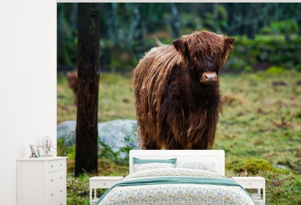 MuchoWow Fototapete für Wohnzimmer oder Schlafzimmer Wandtapete Vinyl Motivtapete Schottischer Hochländer - Wald - Moos - 275x220 cm - Gemustert