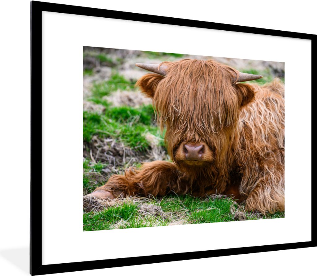 MuchoWow Gerahmtes Poster Schottischer Highlander - Heu - Gras 80x60 cm - Poster mit Schwarzem Bilderrahmen Wandposter Rahmen Foto Bilder - Schla...