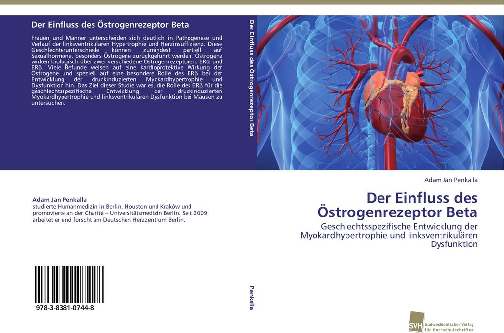 Der Einfluss des Östrogenrezeptor Beta