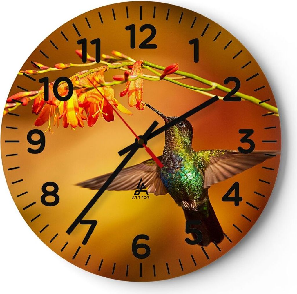 Wanduhr - Rund - Glasuhr - Kolibri Vogel Sommer - 30x30cm - Schleichendes Uhrwerk - Lautlos - zum Aufhängen bereit - Dekoration Modern - Wanddekor...