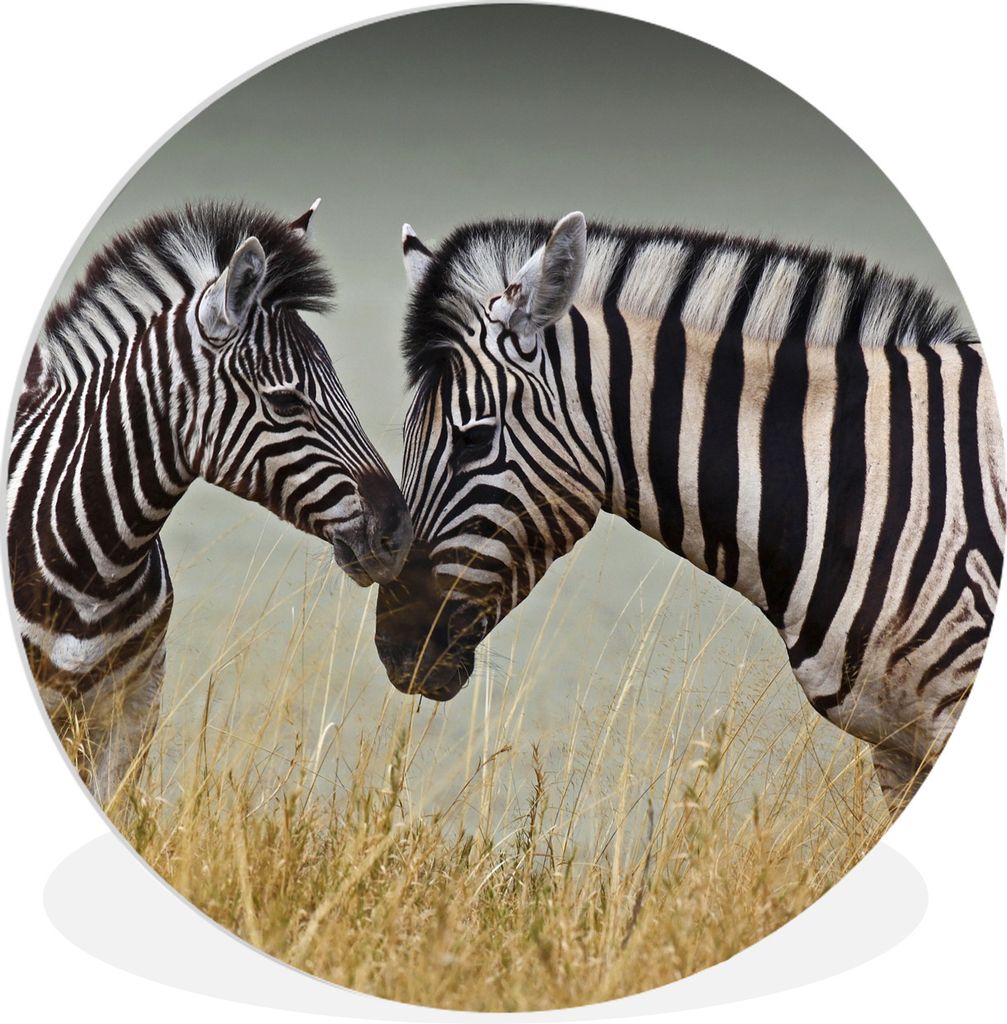 MuchoWow Rundes Wandbild - Runde Bilder Zebramutter und ihr Kalb Ø 30 cm Kreis Wanddekoration Kunststoff - Wandkreis - Wandschmuck - Schlafzimme...