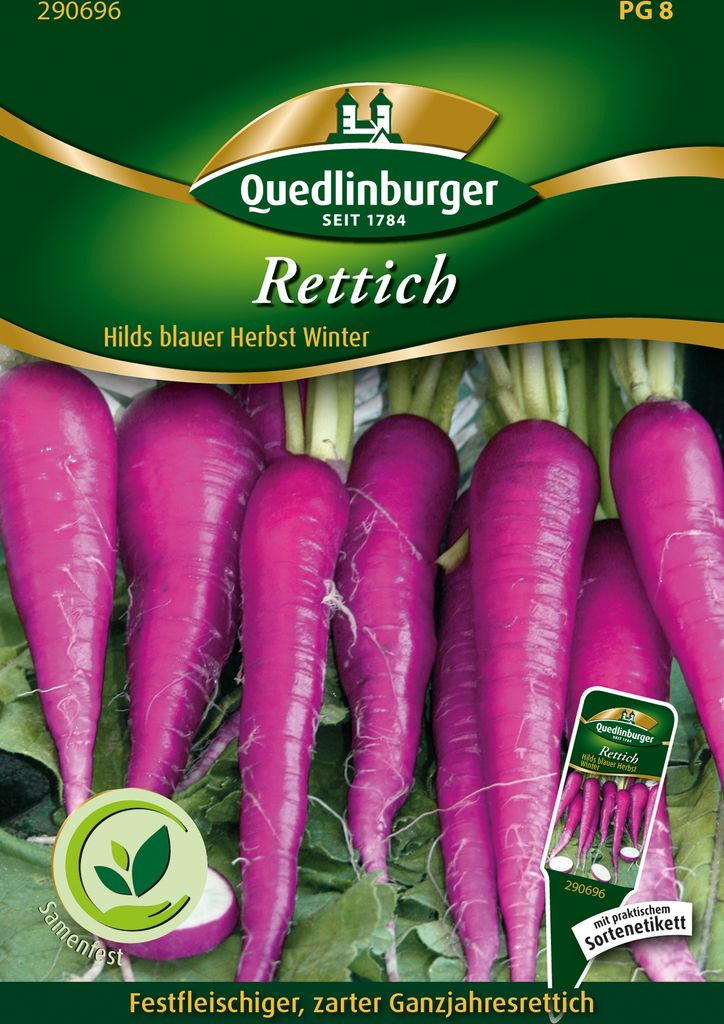 Blauer Rettich | Rettichsamen von Quedlinburger