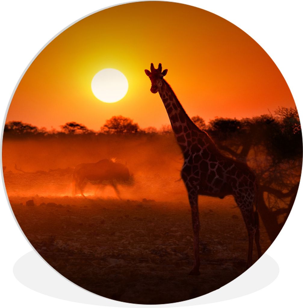 MuchoWow Rundes Wandbild - Runde Bilder Giraffe - Sonne - Savanne Ø 30 cm Kreis Wanddekoration Kunststoff - Wandkreis - Wandschmuck - Schlafzimm...