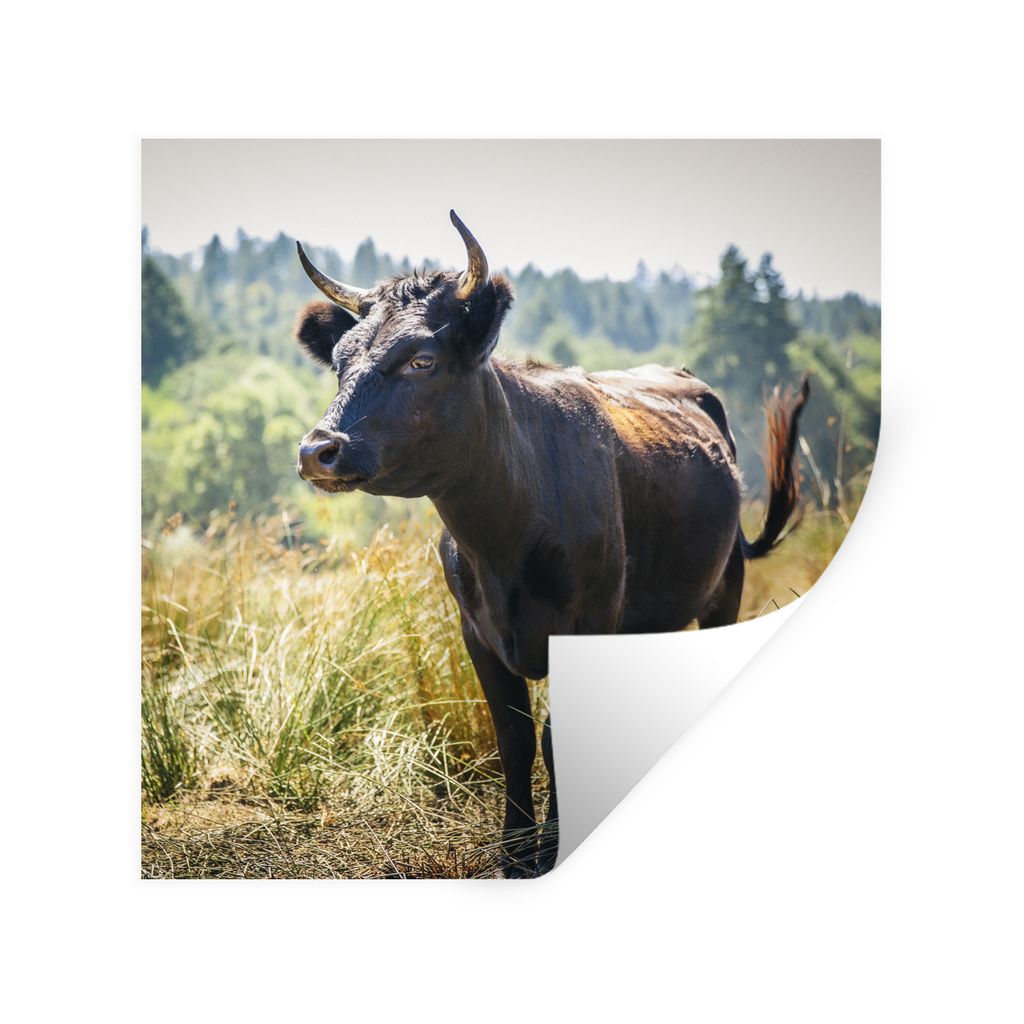 MuchoWow Wandtattoo Wandsticker Wandaufkleber Ein Stier in einem gelben Feld 100x100 cm Selbstklebend und Repositionierbar - Wierderverwendbar - ...