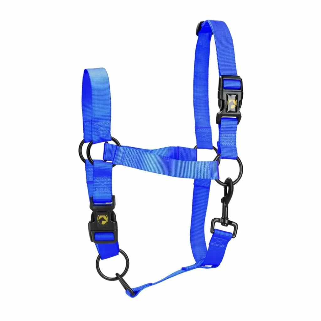 Capezza Cavallo Essential XL Full Blu - Nylon Professionale Alta Tenuta
