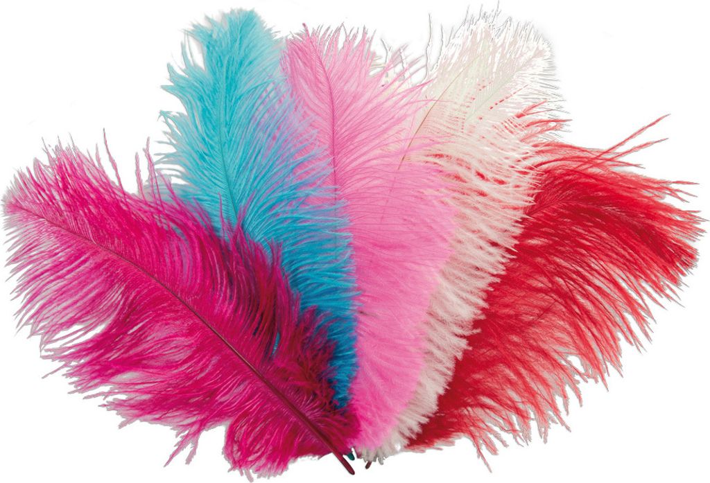 10 Stück Straußenfeder Strauß Federn Feder bunt Basteln Karneval Fasching