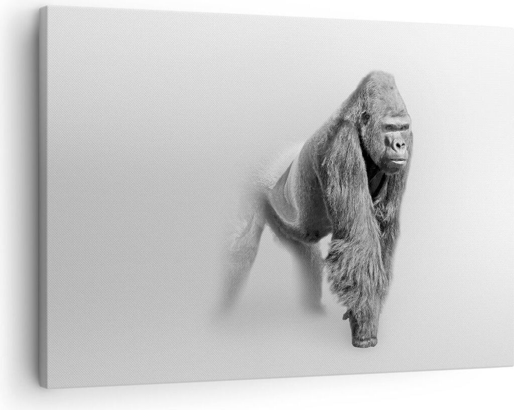 Bild auf Leinwand - Leinwandbild - Orang-Utan Tier - 70x50cm - Wand Bild - Wanddeko - Wandbilder - Leinwanddruck - Bilder - Kunstdruck - Wanddekora...