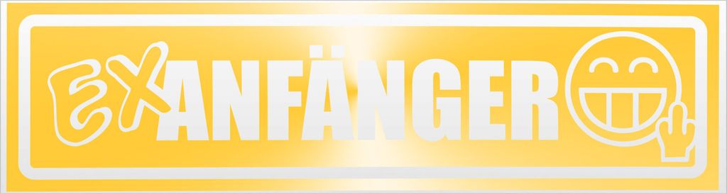 Kiwistar Ex Anfänger invertiert Magnetschild Schild magnetisch - 30cm Gelb - reflektierend - Magnetfolie für Auto PKW Kfz