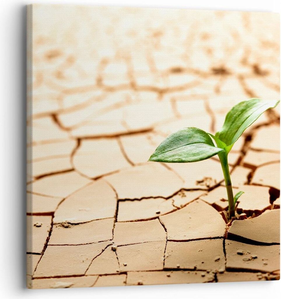 Bild auf Leinwand - Leinwandbild - Wüste Erde Umwelt - 30x30cm - Wand Bild - Wanddeko - Wandbilder - Leinwanddruck - Bilder - Kunstdruck - Wanddek...