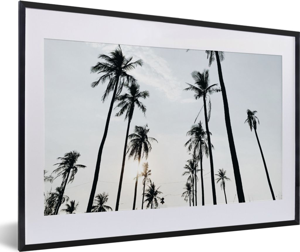 MuchoWow® Gerahmtes Poster Palmen - Sommer - Tropisch 60x40 Produktbild 