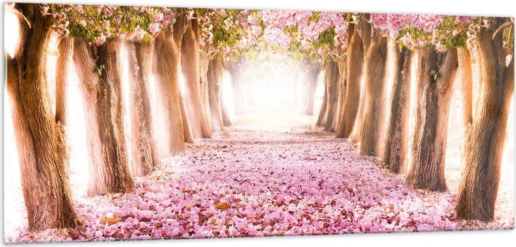 Bilder auf glas - Baum Blumen Kirsche Natur - 100x40cm - Glasbilder - Wandbilder - Kunstdruck - zum Aufhängen bereit - Wanddekoration aus Glas - G...