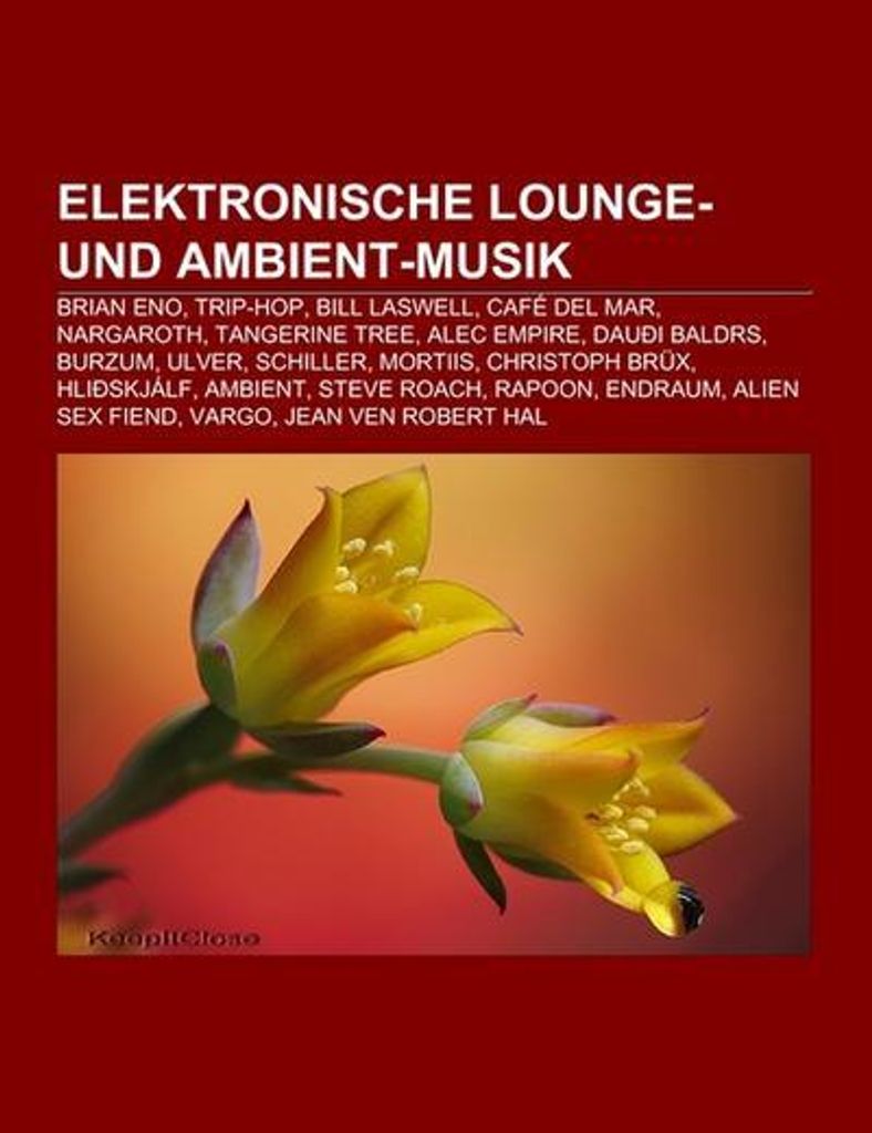 Elektronische Lounge- und Ambient-Musik