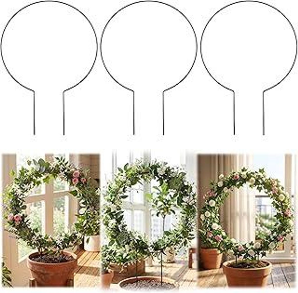 3 Stück Rankhilfe Zimmerpflanzen Rankgitter Metall Rund,20x28cm Garten Pflanzenhalter Metall Garten Pfähle Rund Kletterhilfe für Pflanzen Pflanz...