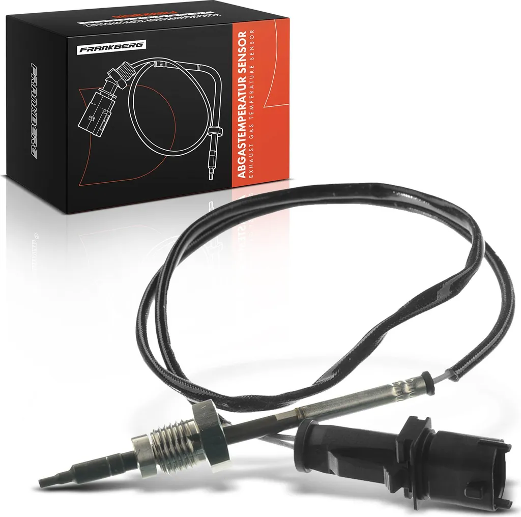 Réparer Erreur P0420 avec le Capteur de Température Gaz Frankberg 1.2