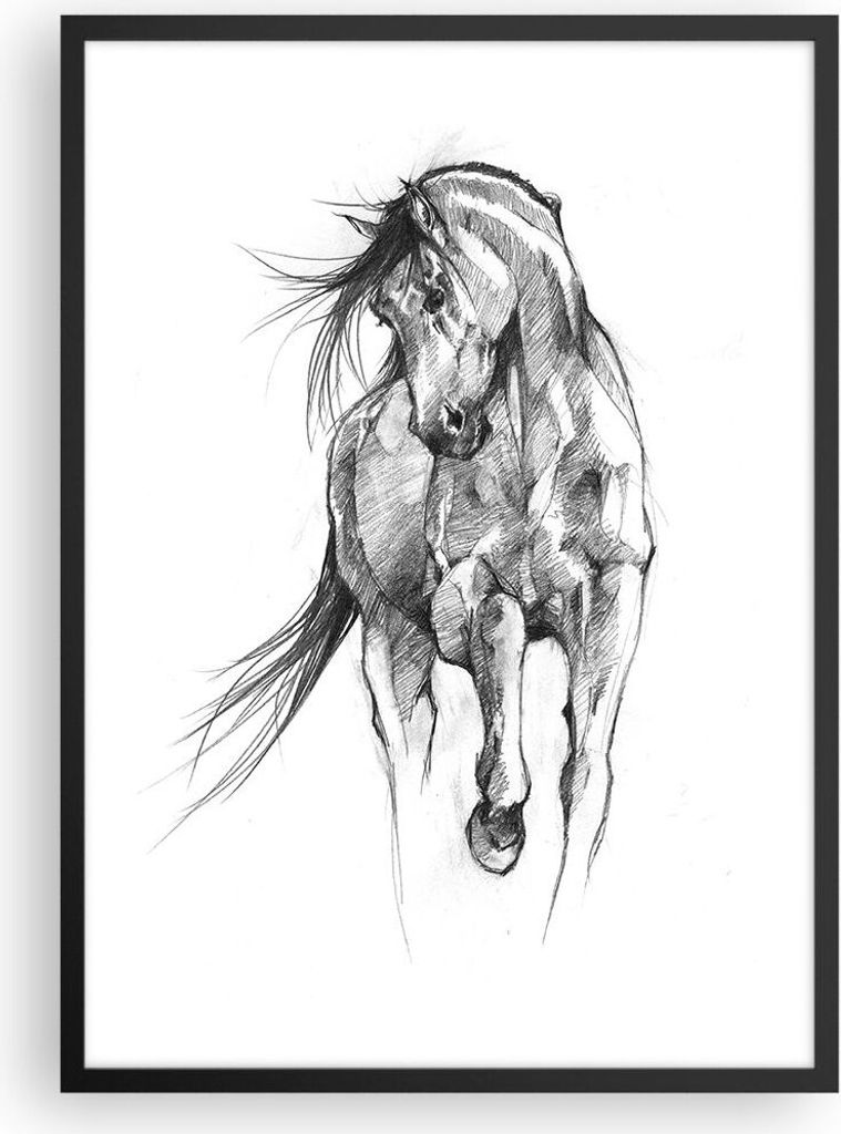 Gerahmtes Poster - Schwarzer Rahmen - Pferd Galopp Tier - 50x70 cm - Wand Bild - Wanddeko - Wandbilder - Kunstposter - Wandposter - Bilderrahmen - ...