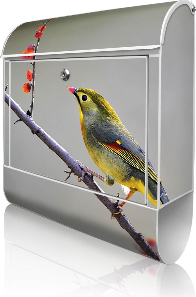 banjado Design Briefkasten Stahl weiß mit Zeitungsfach pulverbeschichtet "Herbst Vogel" 38x46x12,5cm & 2 Schlüssel - Postkasten A4 Einwurf inkl. ...