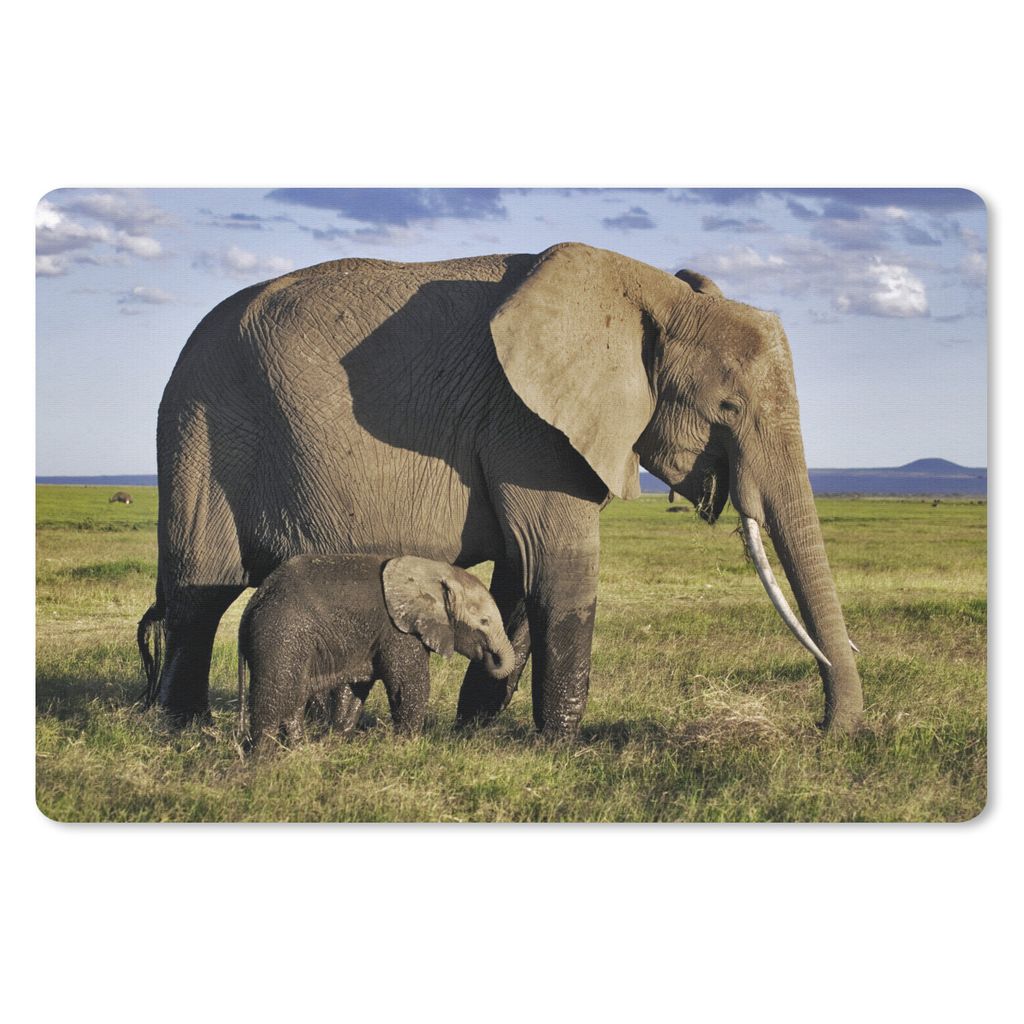 MuchoWow Mauspad Mousepad Elefant - Tiere - Grasland - Grün - Grau 27x18 cm - Mousepads - Maus Mat - Pad - Mausunterlage - Büroartikel - Desk M...